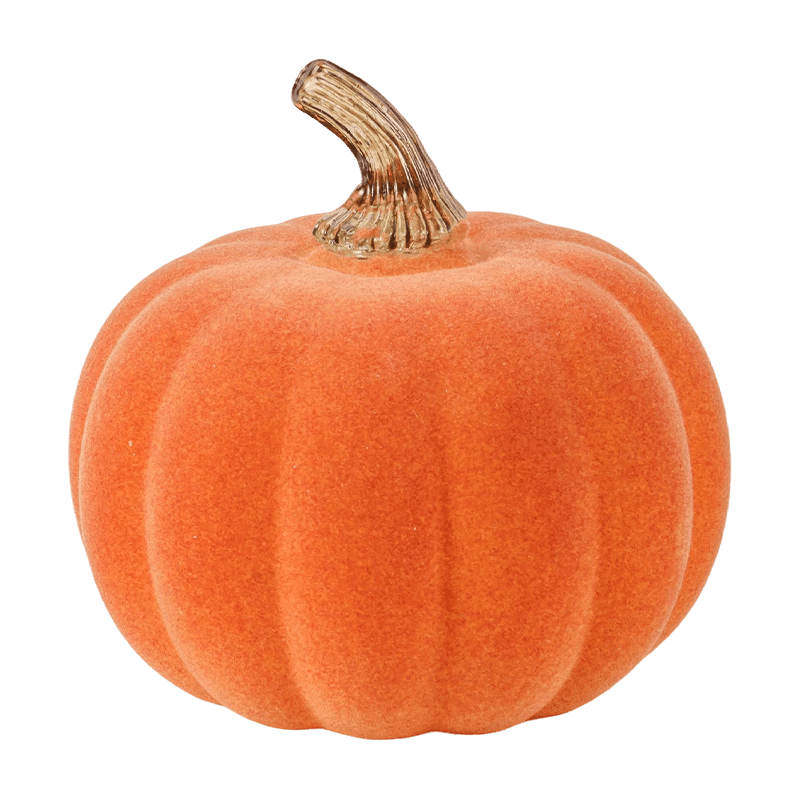Zucca decorativa in velluto/floccata con stelo in vetro