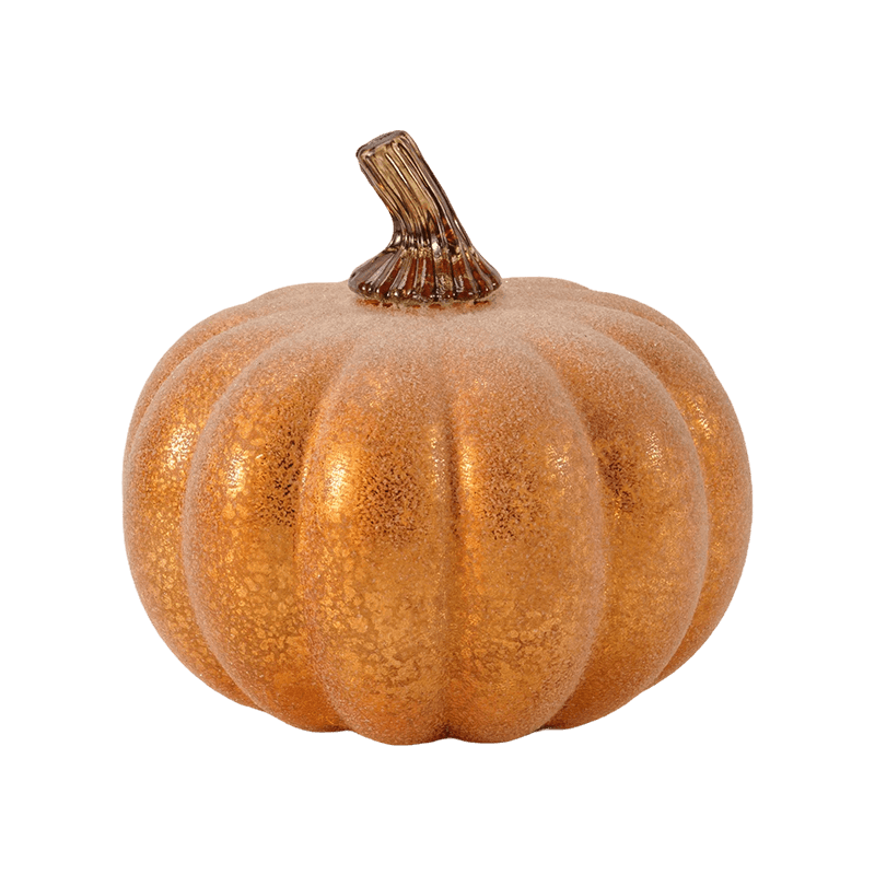 Zucca decorativa in velluto/floccata con stelo in vetro