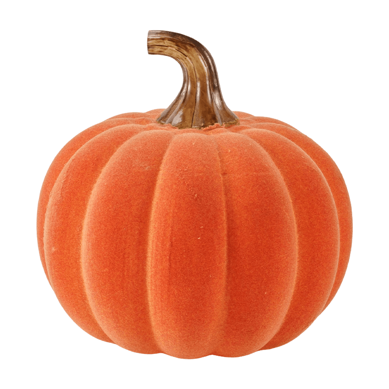 Zucca decorativa in velluto/floccata con stelo in vetro